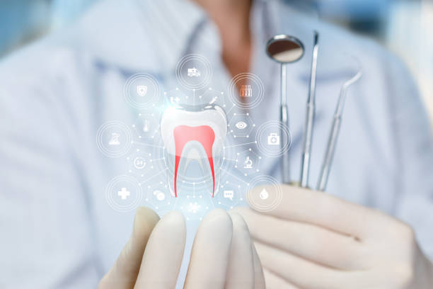 Best Full Mouth Reconstruction  in Choccolocco, AL